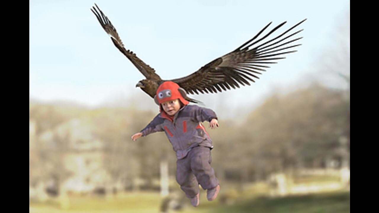 The eagle tried to kidnap the child