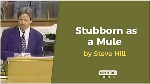 Stubborn as a Mule by Steve Hill