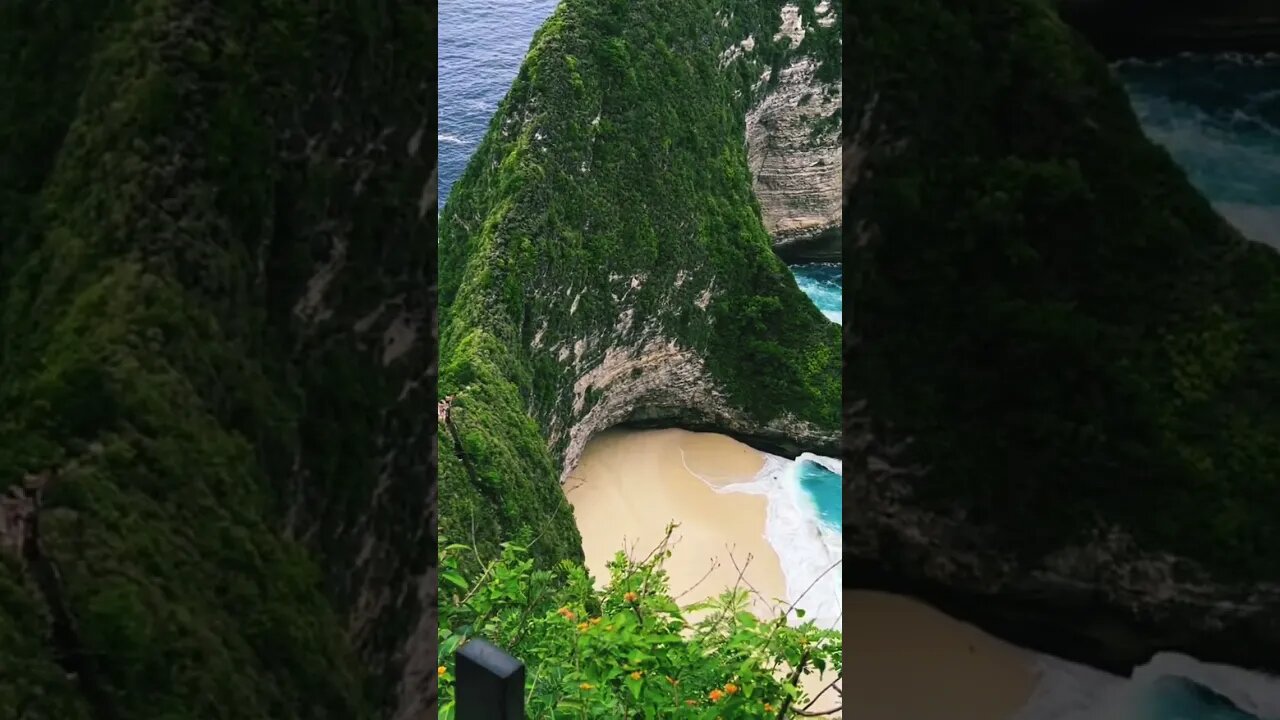 Kelingking Beach | Nusa Penida #new #trending #shorts #beautiful #bali