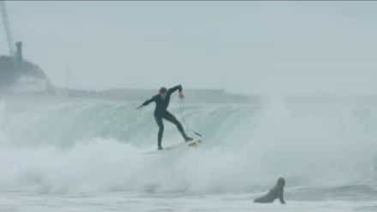 Rogue wave causes surfer to fall badly