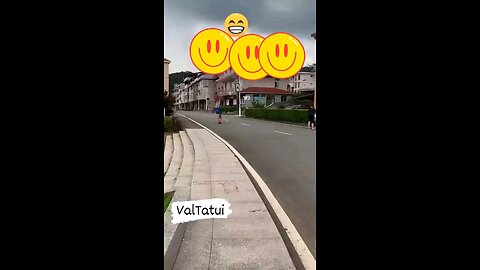 funny dog