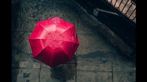 Relaxing Sounds of Falling Rain