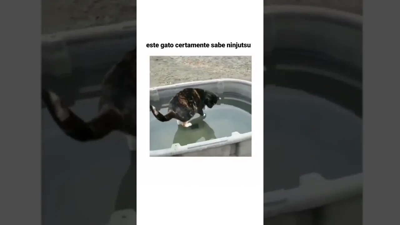 25 de outubro de 2022