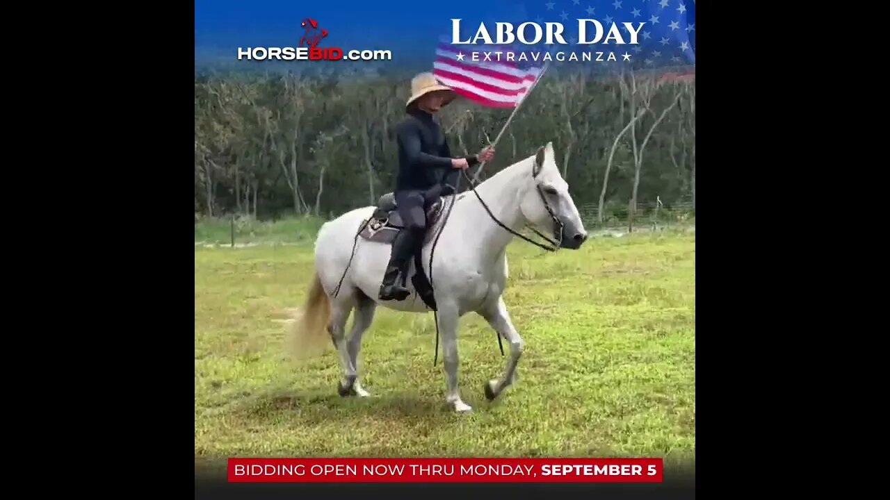 ENDED - Take a quick look at our 𝐋𝐀𝐁𝐎𝐑 𝐃𝐀𝐘 ⭐EXTRAVAGANZA⭐ **ending SEPTEMBER 5th** www.horsebid.com!