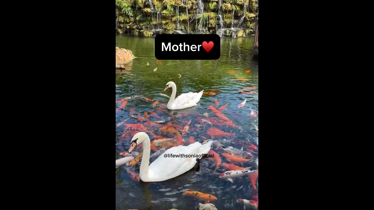 Mother♥️