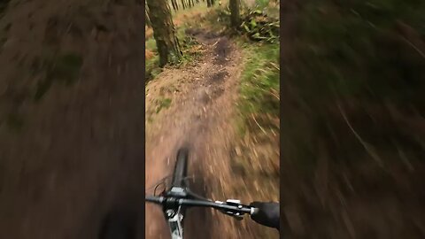 Slop Surfing on my Nukeproof Scout!