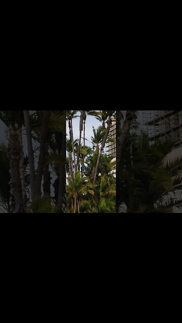 San Diego City Administration Building Getting A Face-lift Downtown