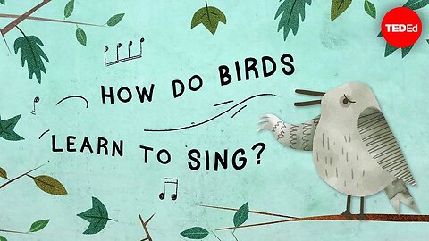 The surprising reason birds sing