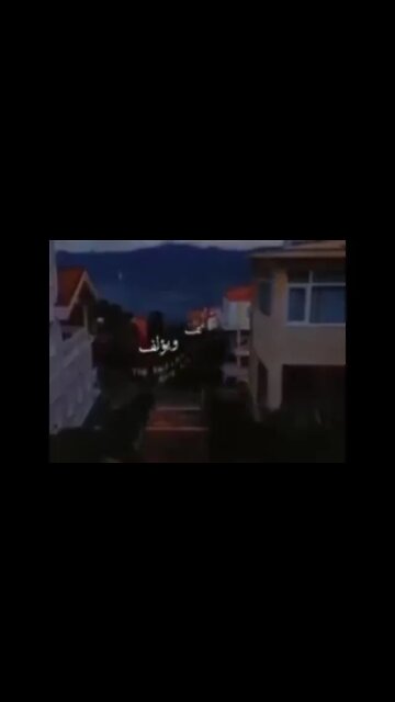 ✍️ المؤمن هين لين سهل 🙏