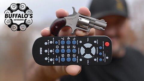 TINY REVOLVER vs TV REMOTE CONTROL 📺