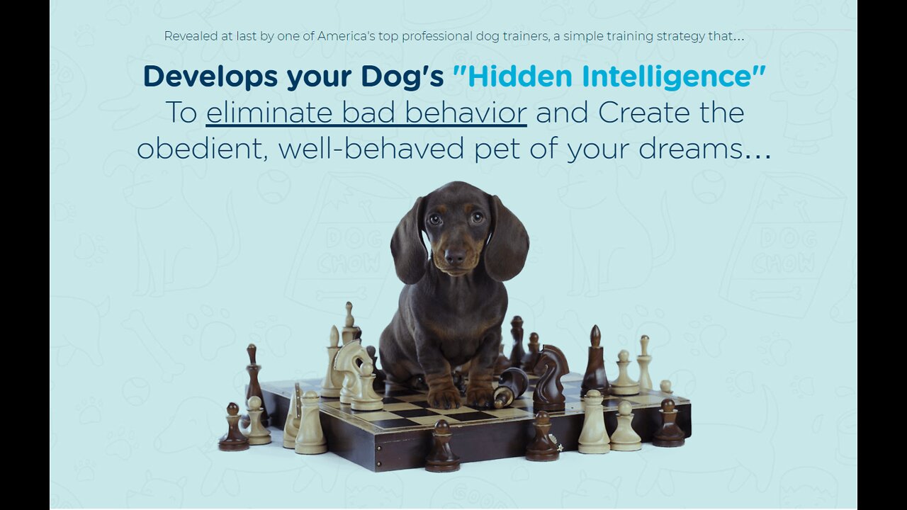 Guard Dog Training Step by Step!