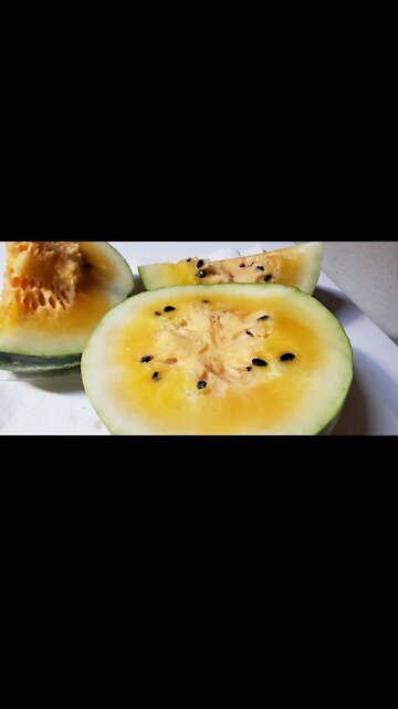 Yellow watermelons