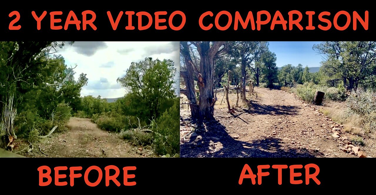 Before and After: 2 Years of Off-Grid Homestead Transformation - LOTS of Work But I Love The Results