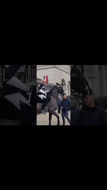 STAND BACK FROM THE KINGS LIFE GUARD TOURIST PULLS REINS #horseguardsparade