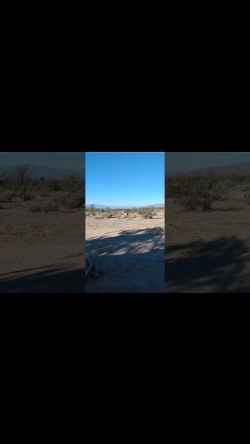 Themistocles saved the people of Athens with a suggestion. Just saying