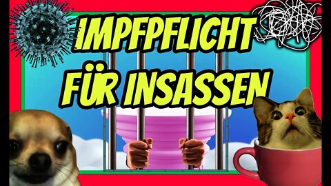 #IMPFGEGNER sind keine Bürger mehr! | Endgame