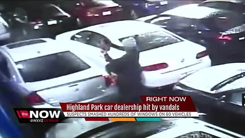 Highland Park car dealership hit by vandals