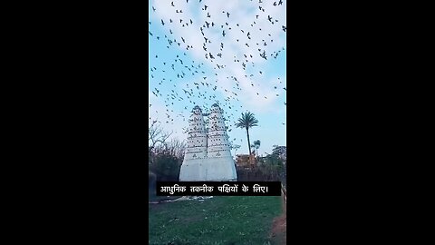 Birds House in India. How make Bird House in India.