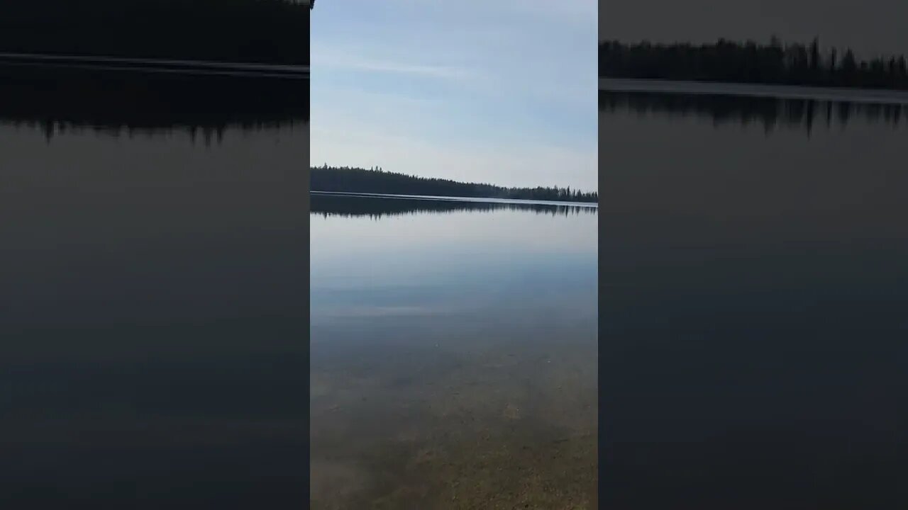 4850 feet above sea level. Island lake sits way up in the mountains where the fish are nice size!