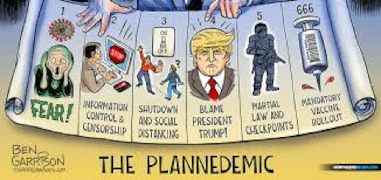 間引き 杉田穂高氏