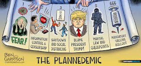 間引き 杉田穂高氏