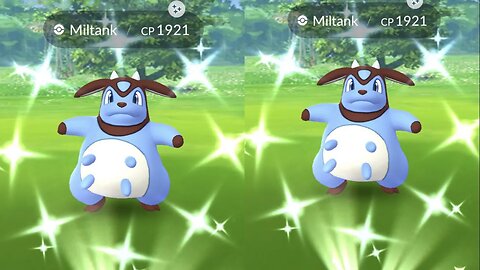 My Reaction to Shiny Miltank