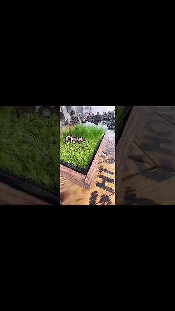 How Big is the Mower?