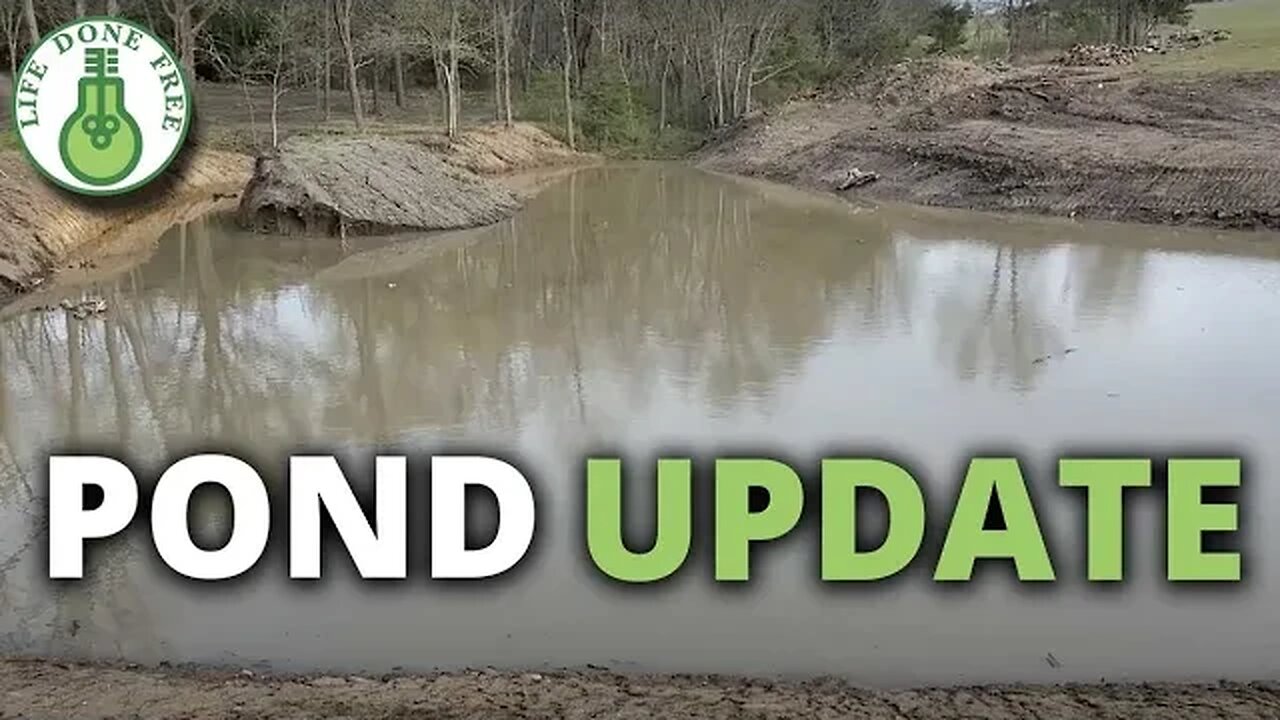 BIG Pond Update