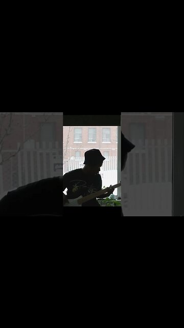 Polkadot Stingray - Jet Bass cover