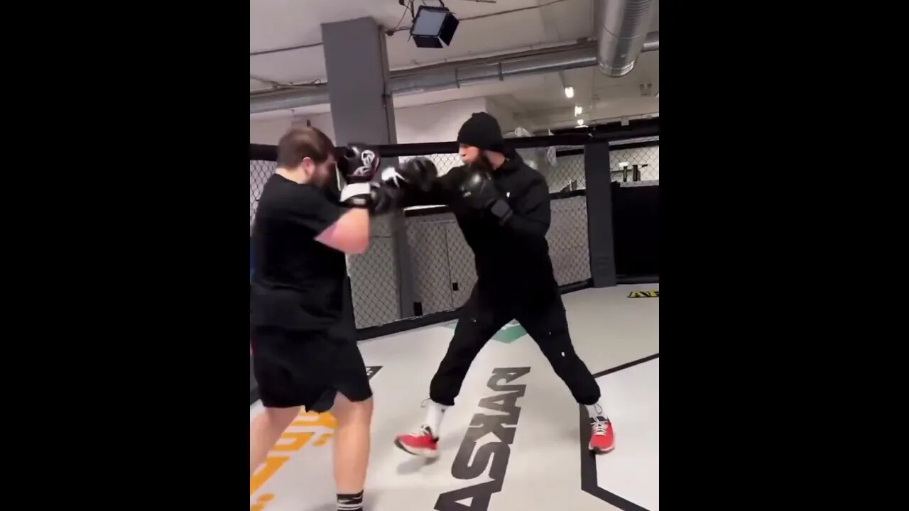 Khamzat Chimaev destroys another sparring partner