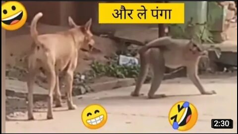 Comedy with Dog 🐕 And Monkey 🐵