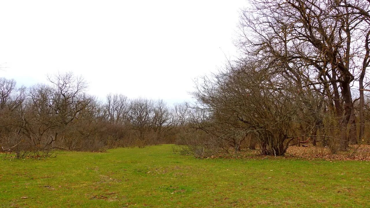 What Nature Teaches With the Beginning of Spring? | Relaxing story of passing cold and life reborn