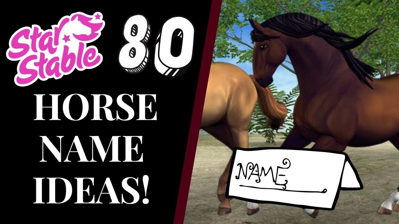 80+ STAR STABLE HORSE NAME IDEAS! 2021 Star Stable Quinn Ponylord