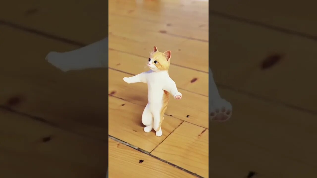 So How's the Dance || Cute Little Kitten Dancing #cutecat #catdance