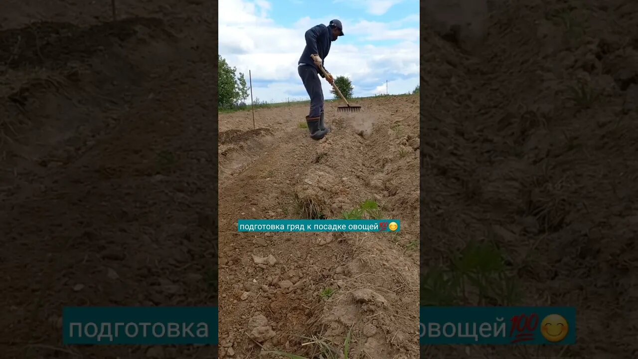 Подготовка Гряд к посадке овощей | #shorts #short #shortvideo #shortsvideo #food #farming #subscribe