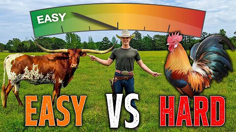 🐤EASIEST Livestock🐄 For BEGINNERS Is...