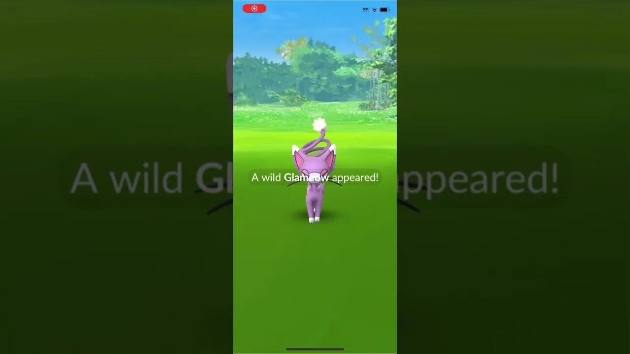 Shiny Compilation
