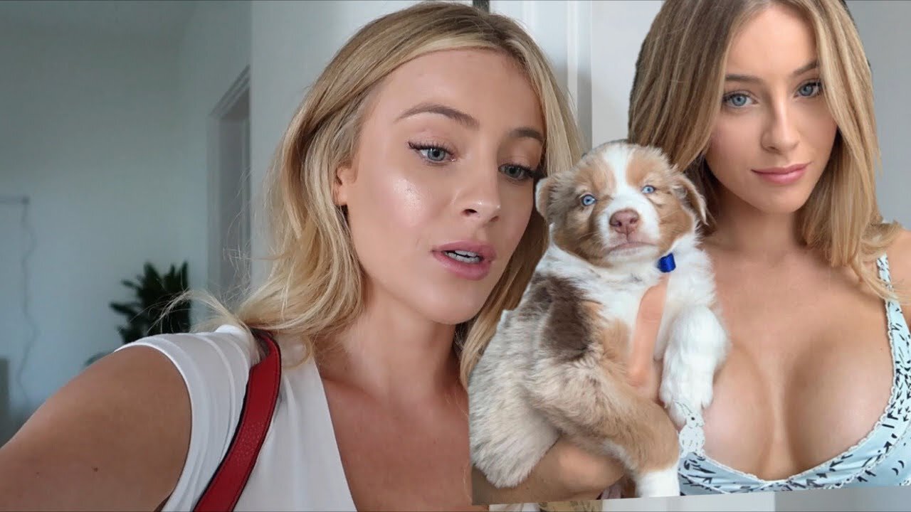 The truth about what happened to my dog..