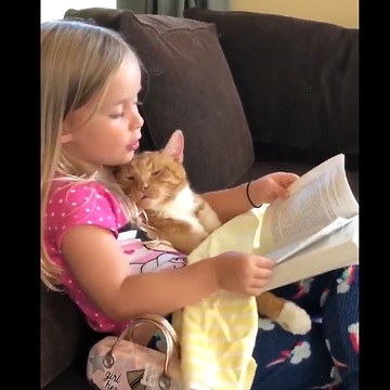 Reading The Cat a Bedtime Story