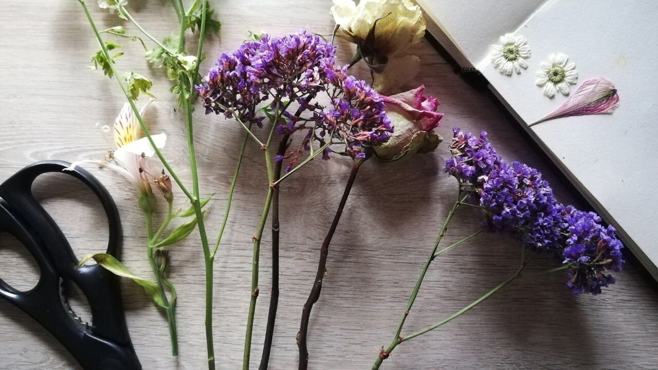 Drying a Wilted Bouquet // Episode 76