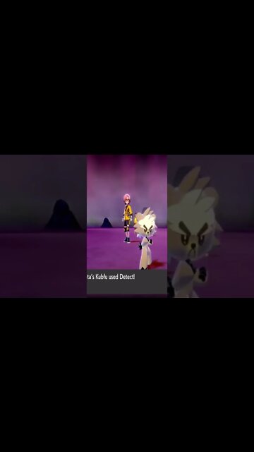 Pokémon Sword - Kubfu Used Detect!