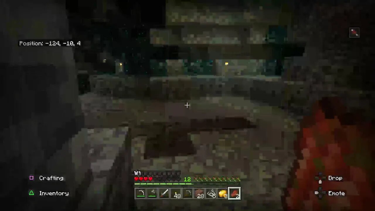 tabbycat__101's working on my home in survival 3