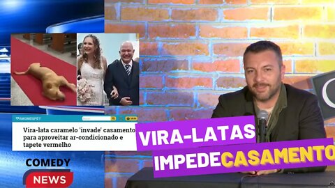 As Notícias Mais zoadas da Semana!!!! - Comedy News