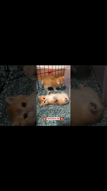 QUANDO VOCÊ É PREGUIÇOSO 🤣🤣🤣