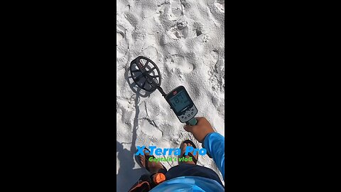 Beach Metal Detecting. Minelab X-Terra Pro