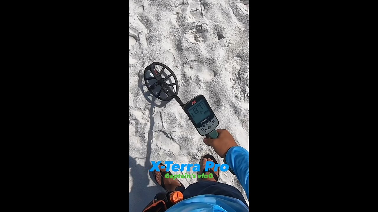 Beach Metal Detecting. Minelab X-Terra Pro