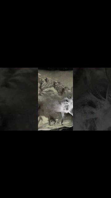 🤠That Smooth Regulators Intro: Warren G,Nate Dogg & Morgan Wallen #rdr2 #intro #comedian #warpathtv