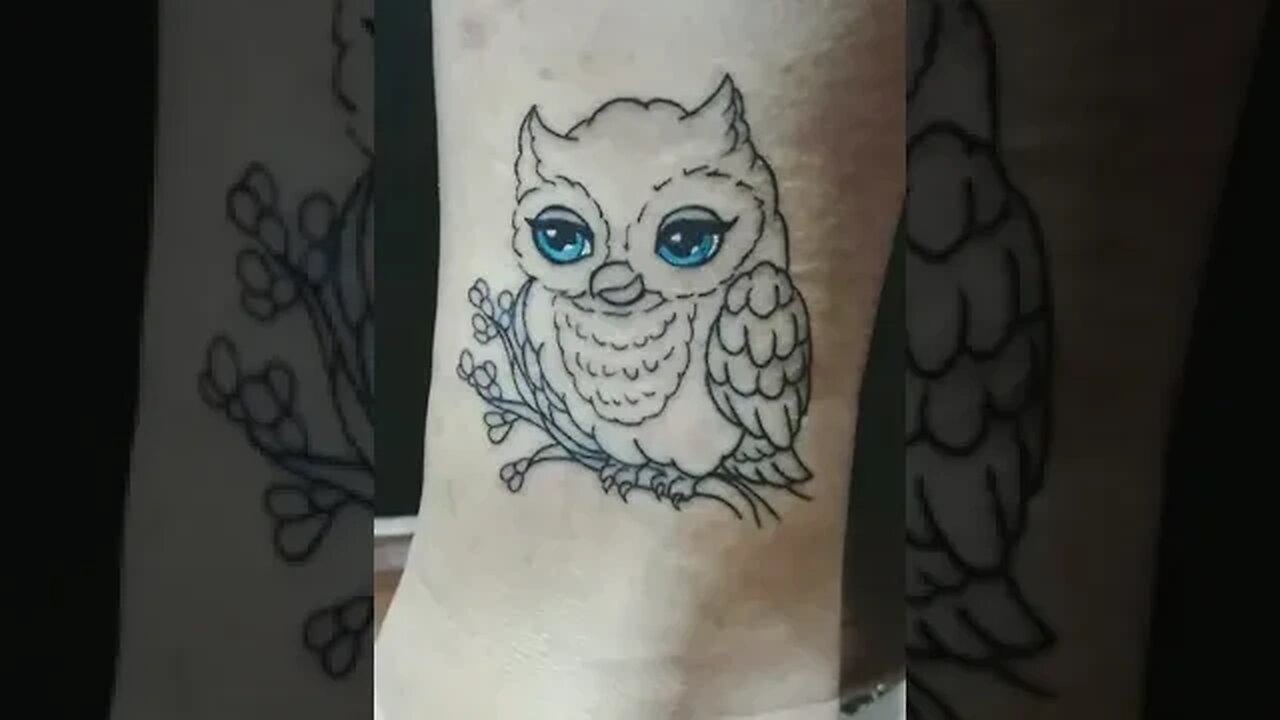 Coruja 🦉 #tattoo #viral #shorts