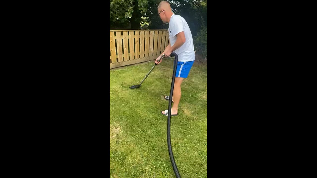 Andrew tate hoovers fag buts