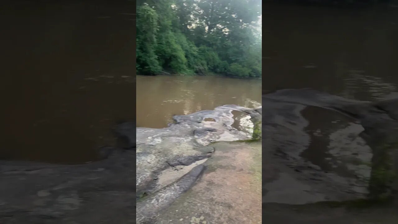 Good morning and happy Saturday! Fishing at the creek and grief for my dog#fishing #outdoors #rip